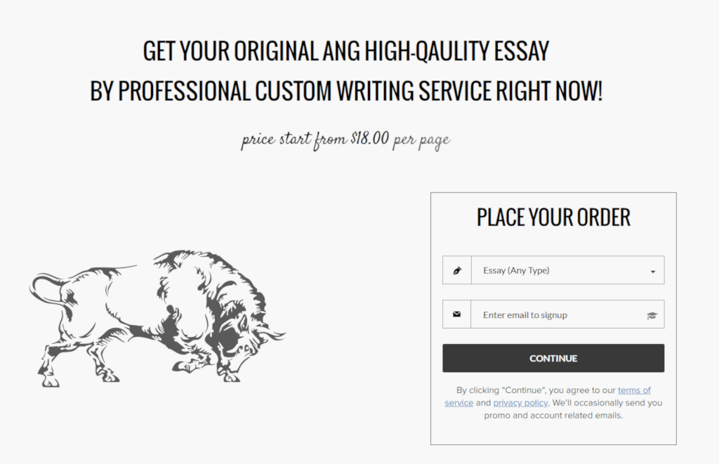 essay writing services reviews in india