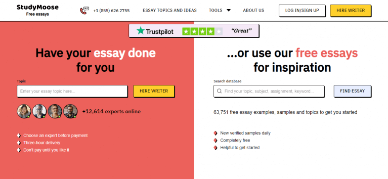 essay studymoose reviews
