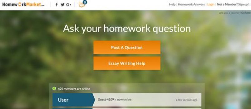 Homeworkmarket discord picture