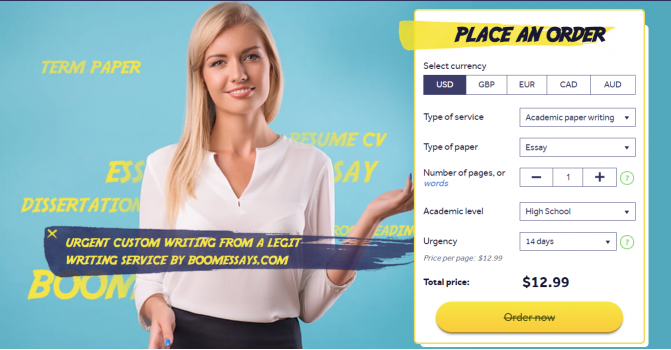 Essay experts reviews