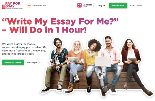 Payforessay login image